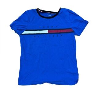 Tommy Hilfiger Blue Tee with Stripe Detail